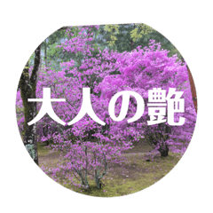 [LINEスタンプ] 花スタンプで華を！2 