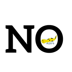 [LINEスタンプ] トカゲさんの様なヤモリさん