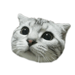 [LINEスタンプ] ヤマナシ蒼太