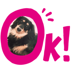[LINEスタンプ] いとをかし。❷