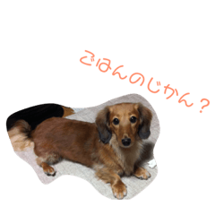 [LINEスタンプ] おデブのマロン。 
