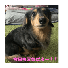 [LINEスタンプ] ぴょんスタンプ2 