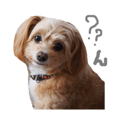[LINEスタンプ] 小町の日常ほのぼのスタンプ 