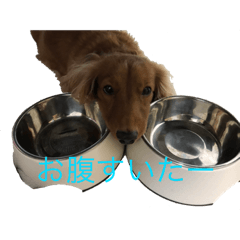 [LINEスタンプ] channel.ITHのスタンプ！ 