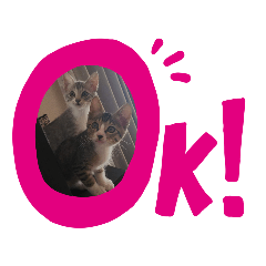[LINEスタンプ] チャチャサス 