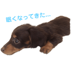 [LINEスタンプ] ぺんちゃん①