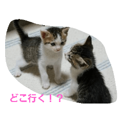 [LINEスタンプ] じじとちくわ 