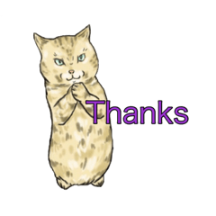 [LINEスタンプ] 猫スタンプ【英語だよ】