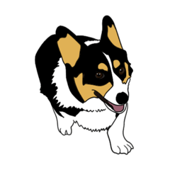 [LINEスタンプ] 黒コーギーの光太郎 No.2