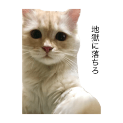 [LINEスタンプ] 猫のムー