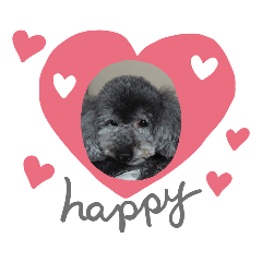[LINEスタンプ] kojirou君