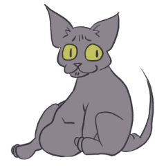 [LINEスタンプ] ハゲネコ