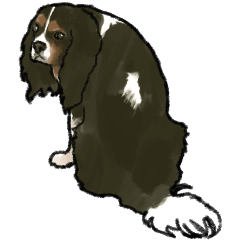 [LINEスタンプ] キャバリア ひめちゃん
