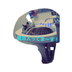 [LINEスタンプ] ねこねこgo！go！④