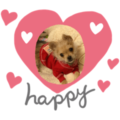 [LINEスタンプ] くぅ＆こむぎ
