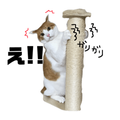 [LINEスタンプ] 殿にゃん