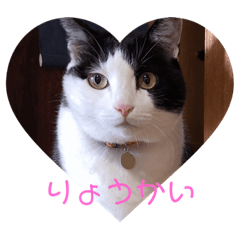 [LINEスタンプ] かりんandみゅう