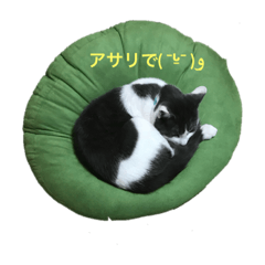 [LINEスタンプ] おったまなぁん