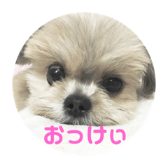 [LINEスタンプ] ぽぉたお＆くぅちゃん すたんぷ 