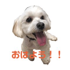 [LINEスタンプ] 表情豊かなジャス君 