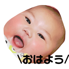 [LINEスタンプ] 碧蘭たんスタンプ