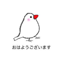[LINEスタンプ] 丁寧な白文鳥