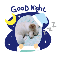 [LINEスタンプ] わが家のジミーちゃん！