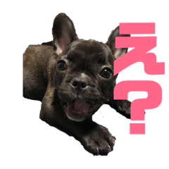 [LINEスタンプ] イヴ2か月スタンプ第3弾