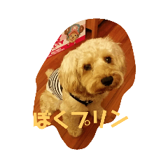 [LINEスタンプ] ぼくプリン