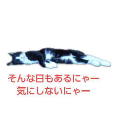 [LINEスタンプ] それいけ くろちゃん