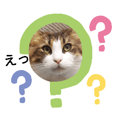 [LINEスタンプ] メインクーン王子おじゅ♪