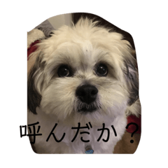[LINEスタンプ] ポキの日常2
