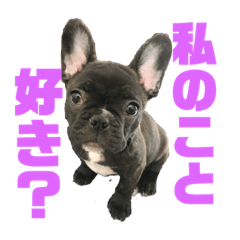 [LINEスタンプ] イヴ2か月スタンプ第2弾