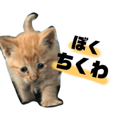 [LINEスタンプ] ちくわくんだらりん 