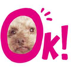 [LINEスタンプ] 猛獣チョビちゃん① fetchpriority=high