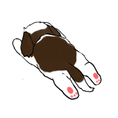 [LINEスタンプ] バう子はシーズー犬