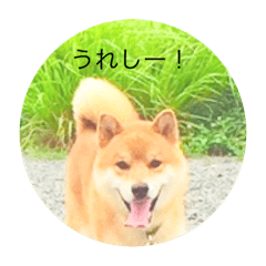 [LINEスタンプ] ルイくんのそこはかとない思い