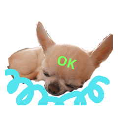 [LINEスタンプ] すむちーさん 