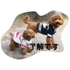 [LINEスタンプ] どんハチ 