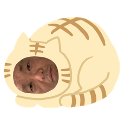 [LINEスタンプ] だーまんだよ