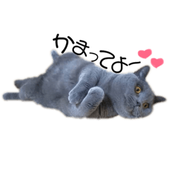[LINEスタンプ] るうちゃんたぶちゃん❤