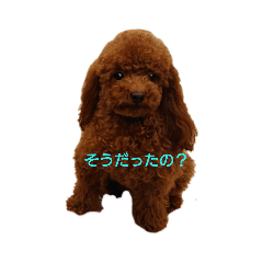 [LINEスタンプ] といぷ～ちゃん