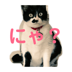 [LINEスタンプ] ぱぱだいすきスタンプ 