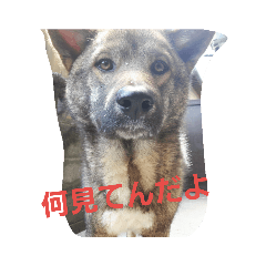 [LINEスタンプ] バズビルスタンプ