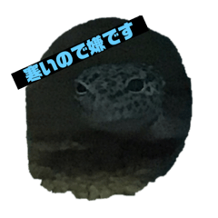 [LINEスタンプ] 生物オリジナルスタンプ2