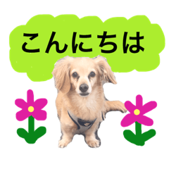 [LINEスタンプ] ☆pino☆日常生活編