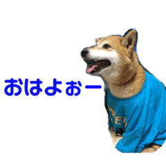 [LINEスタンプ] むくむくすたんぷ 