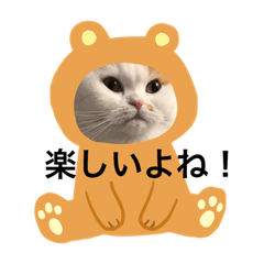 [LINEスタンプ] 可愛くて楽しい4匹の猫 3
