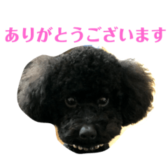 [LINEスタンプ] プリンくんU・x・U stamp！ 