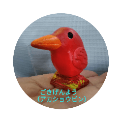 [LINEスタンプ] 一日のあいさつ写真 